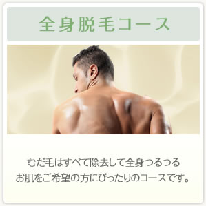 全身脱毛コース